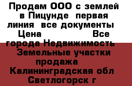 Продам ООО с землей в Пицунде, первая линия, все документы › Цена ­ 9 000 000 - Все города Недвижимость » Земельные участки продажа   . Калининградская обл.,Светлогорск г.